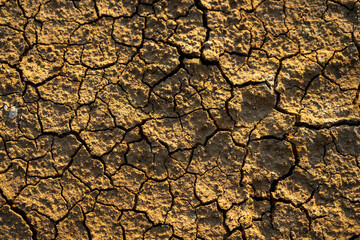 Naklejka premium Global warming Dry cracks in the land Drought surface Climate changes the soil.