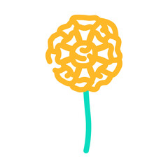 marigold blossom spring color icon vector illustration