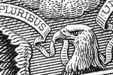 Macro image US Dollar banknote. American money as symbol of wealth and success.