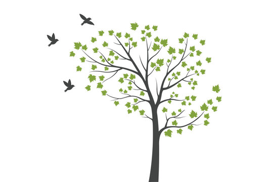 Tree Wall decoration Concept. Bird on branch wall decoration sticker design vector illustration