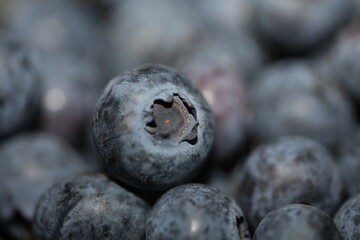 Fresh blueberries background top view concept of healthy and dieting eating big size high quality botanical print vaccinium corymbosum family ericaceae