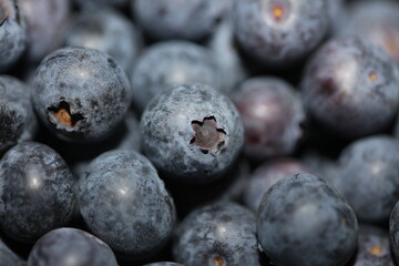 Fresh blueberries background top view concept of healthy and dieting eating big size high quality botanical print vaccinium corymbosum family ericaceae
