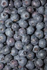 Fresh blueberries background top view concept of healthy and dieting eating big size high quality botanical print vaccinium corymbosum family ericaceae