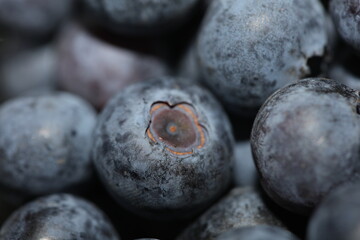 Fresh blueberries background top view concept of healthy and dieting eating big size high quality botanical print vaccinium corymbosum family ericaceae