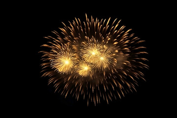 Golden Firework on Black Isolated Background with illustration light Glow