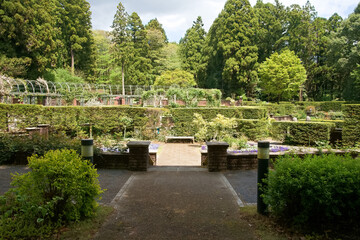 七ツ洞公園の植物園