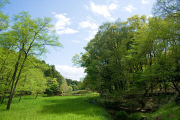 七ツ洞公園の池