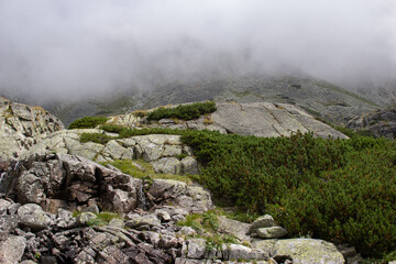 beautiful view on Slovakian  rocks of Tatras mountains in the fog