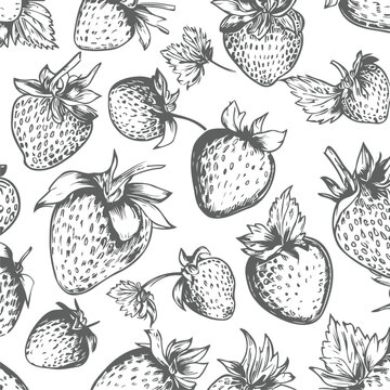 Hand-drawn strawberry tropical seamless pattern vector illustration with white background. high-detail strawberry vector. seamless fruit pattern