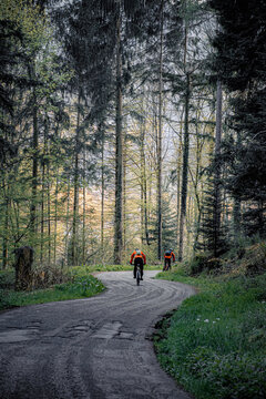 person riding a bike in the woods