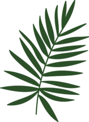 Poster Monstera Tropical Branch Icon