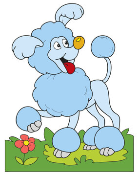 Coloring page outline of cartoon smiling cute poodle dog. Colorful vector illustration, summer coloring book for kids.	