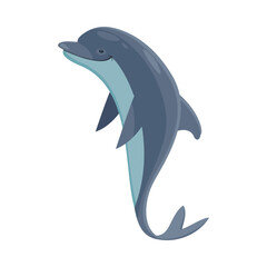 Dolphin Flat Illustration