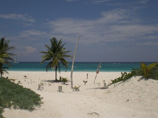 beach Tulum (Mexico)