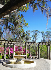 Beautiful fountain and trellis on the lake in Airlie Gardens , Wilmington , NC - 594280295