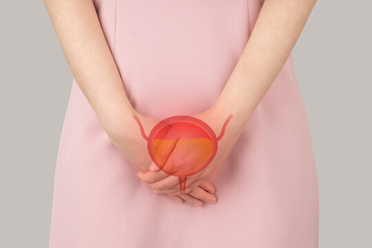 Bladder with urine illustration on female body against gray background. Woman have bladder problems include urinary tract infections, urinary incontinence or urinary retention. Human urinary system.