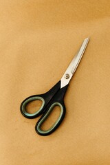 Isolated image of a pair of stainless steel scissors
