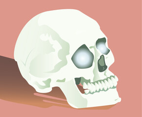 Human skull with glowing eyes