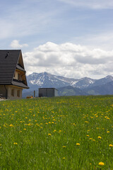 beautiful spring view on green meadow with house and tatras mountains