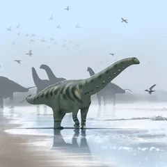 Crédence de cuisine en verre imprimé Dinosaures Apatosaurus Louisae beach