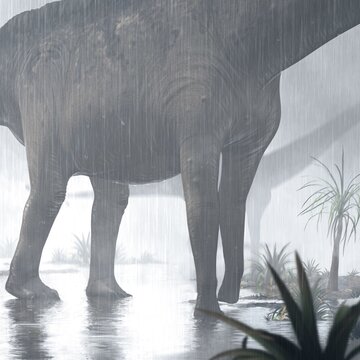 BarosaurusLentus rain