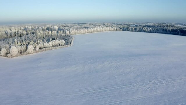 Drone smoothly flying over a snow-covered field and frosty trees of a forest