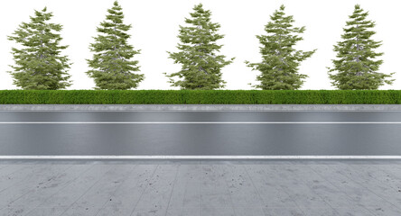 Realistic road side with hedge and tree. 3d rendering of isolated objects.