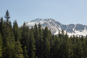 beautiful view on wild lake and snow mountains