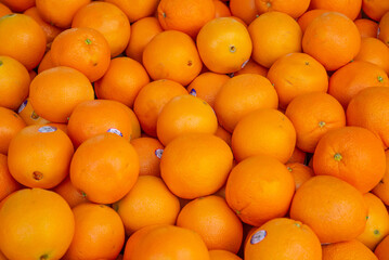 たくさんのオレンジ