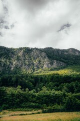 Vertical shot of a landscape with forested mountains under a cloudy sky