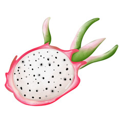 watercolor dragon tropical fruit, summer element, Summer illustration