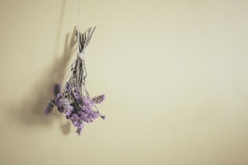 violet dried flowers hanging on wall background
