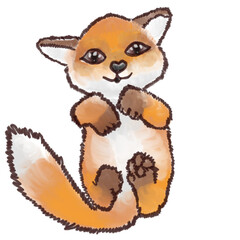 A cute little baby fox