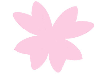 pink flower isolated sakura.