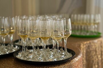 Table featuring several glasses on trays filled with champagne.