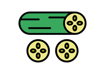 vector cucumber food illustration