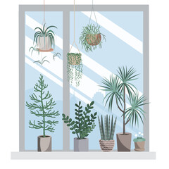 Interior with hanging home plants and houseplants on the windowsill. Cozy home or office design element. Vector isolated illustration in a flat styl