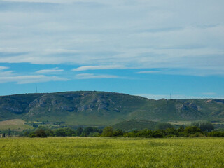 Fototapeta premium Sumptuous provencal landscape in the Alpilles in Provence in France with a beautiful and verdant meadow and the hills of the Orgon plateau in the background