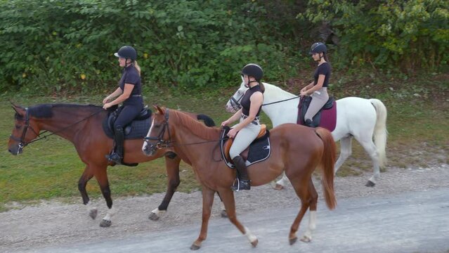 Three female riders enjoying riding horses in the beautiful nature, stepping down to the river water, wide shot. Leisure and recreational riding concept.