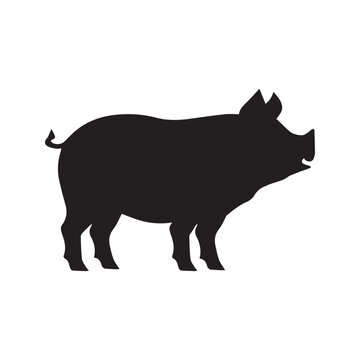 recommend clip art: Pig black silhouette isolated on white background - Pig graphic icon.