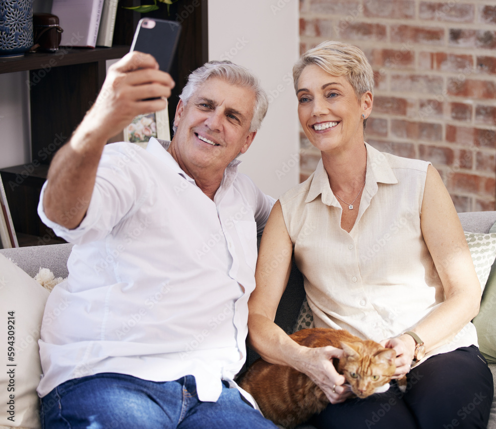 Poster snapping some family portraits. a mature couple taking selfies while relaxing with their pet cat on 