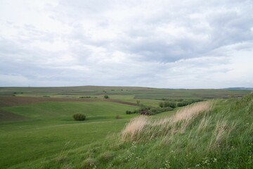 Obraz premium Landscape in green fields