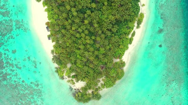 Aerial top view on Uninhabited and wild subtropical isle with palm trees. Beautiful landscape of tropical palm jungle.