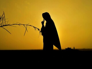 silhouette of a person