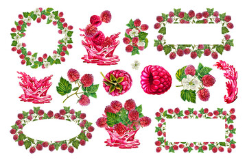 Set with raspberry branches with berries and leaves. Watercolor, hand-drawn illustration. Isolated on white background. For cards, invitations, menus, packages, labels, etc.