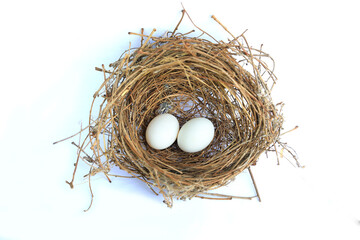 Bird's nest with two white egg in it isolated over white background. Eggs in straw nest.