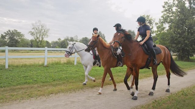 Side view of three aligned beautiful horses with female jockeys, walking side by side along a path near the equestrian farm fields, tracking shot.