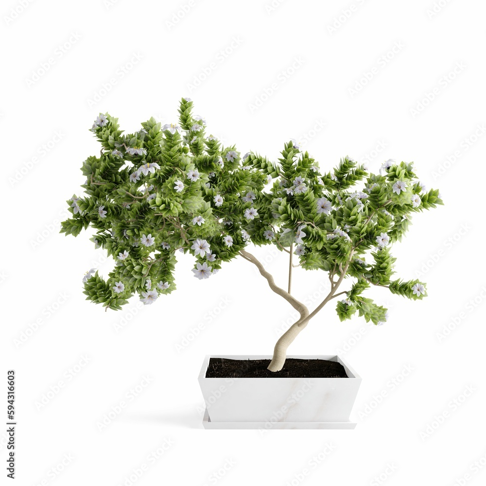 Poster 3d rendering of a plant in a pot isolated on a white background