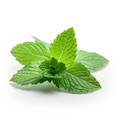 Frische Minze, Pfefferminze, freisteller, isoliert © Sönke Hayen