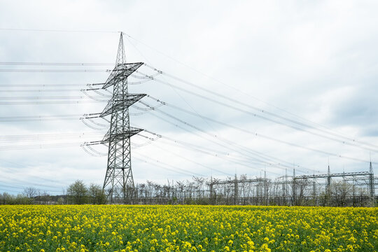Power lines and substation, extra high voltage lines behind the electrical grid. High-voltage power line, transmission tower overhead line masts, high voltage pylons, power pylons on the fields